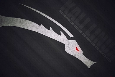 1920x1080 Kali Linux Desktop PC And Mac Wallpapers