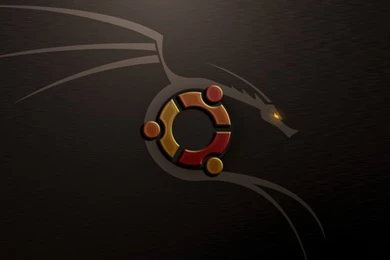 Ubuntu Dragon Wallpapers 135243