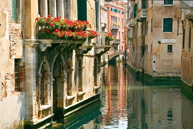 The Streets Of Venice Wallpapers And Images Wallpapers, Pictures ...