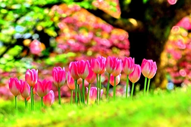 Cool Nature Photos, Nature Wallpapers For Samsung, Hd Landscape ...