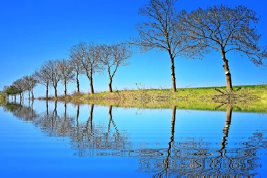 Amazing & Beautiful Free Nature Wallpapers HD