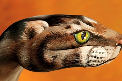 Download Wallpapers 1920x1080 Hand, Art, Drawing, Gesturing Full HD ...