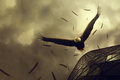 Free HD Skull Art Full Wallpapers 1080p Jpg Good Quality Wallpapers ...