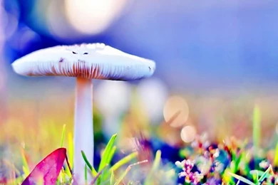 Top 10 Beautiful Wallpapers Free Download For PC   Best Hd ...