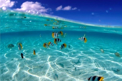 Water HD Wallpapers And Backgrounds