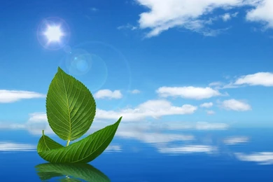 Free Water Wallpapers