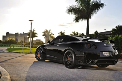 Cars Palm Trees Black Nissan Gtr Spec Natural Lighting R35 Gt Rear ...