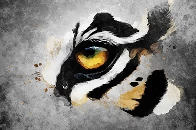 Tiger Eyes By Jessielynn85 On DeviantArt