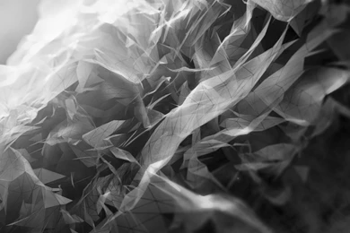 Grey Smoke Wallpaper Backgrounds