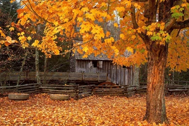 Free Autumn Desktop Wallpapers Www