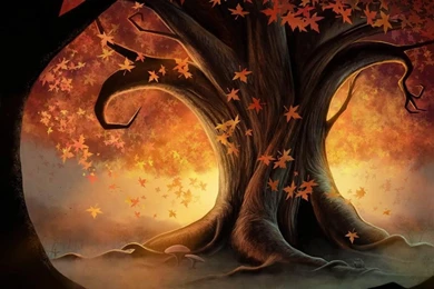 Free Autumn Desktop Wallpapers Www Wallpapers In Hd Com