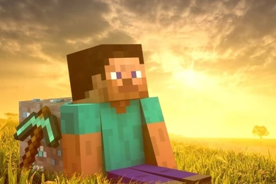 Download Minecraft Hero With A Diamond Block Wallpapers For IPad