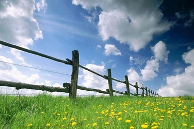 HD Nature Wallpapers For Mac