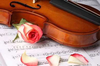 87 Violin HD Wallpapers