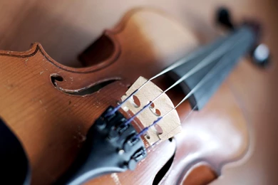 Wallpapers Violin Widescreen HD Desktop 78746