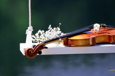 Violin And Glasses Awesome Wallpapers