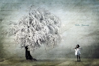 Violin Computer Wallpapers, Desktop Backgrounds