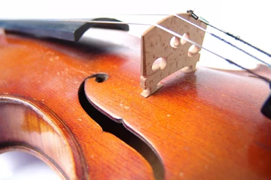 Free Widescreen Wallpapers Downloads, Violin