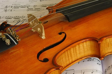 Violin Desktop Wallpapers FREE On Latoro.com