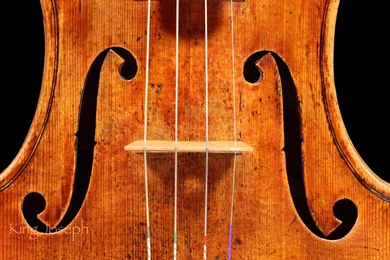 Violin Computer Wallpapers, Desktop Backgrounds
