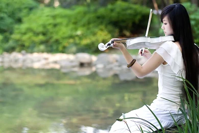 Beautiful Violin Wallpapers For Iphone