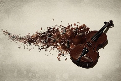 Violin Wallpapers   Photography Wallpapers