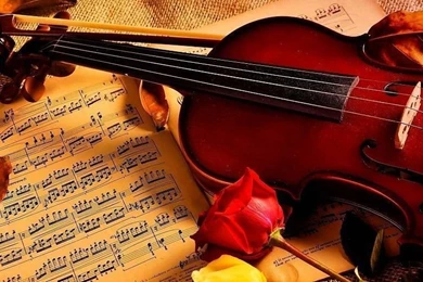 Violin Notes Rose Beauty Music Free Desktop Backgrounds And Wallpapers