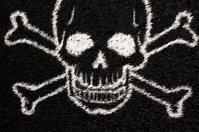 Fun Wallpapers On Pinterest