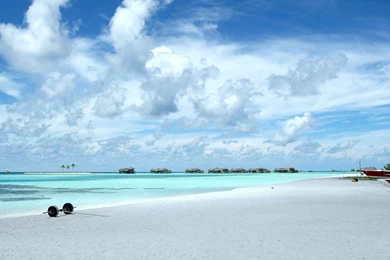 Download Bright Nature Wallpapers Desktop