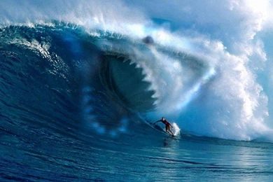 Shark Wallpapers 1280x800 Wallpapers,shark 1280x800 Wallpapers ...