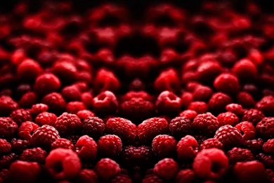 Blood Fruit Wallpapers