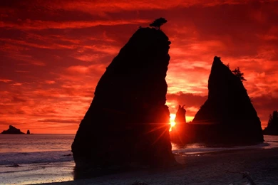 Wallpapers Tagged With BLOOD