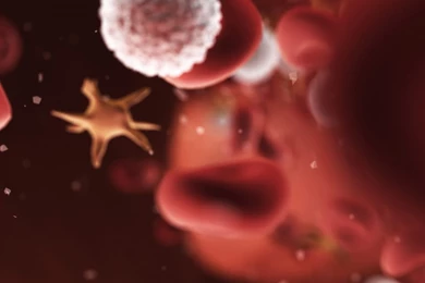 Sony Xperia Z1, ZL, Z, Samsung Galaxy S4, HTC One Blood Wallpapers ...