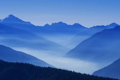 Nature Mountain Forest Landscape Fog Ultrahd 4k Free Desktop HD ...