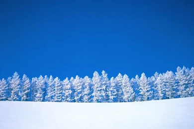 Snow Desktop Wallpapers 7.jpg
