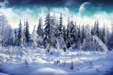 Wallpapers: Snow Desktop Wallpapers And Backgrounds
