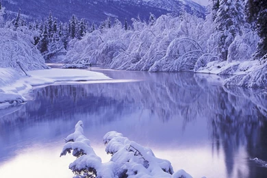 Download Wallpapers 2048x1152 Snow, White, Winter, Nature, Scenery ...