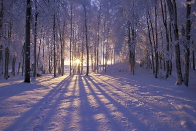 63 Source URL: Http:www Latoro Com 16047 Desktop Wallpapers Snow ...