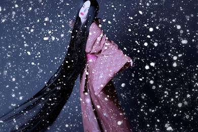 MEMOIRS OF GEISHA WALLPAPER   (