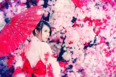 Geisha Widescreen Wallpapers
