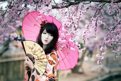 Splendid Geisha HD Desktop Wallpapers : Widescreen : High ...