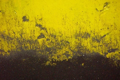 Yellow Strips And Black Strips 1920x1200px