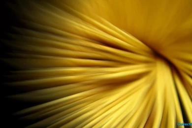 Pink Abstract Wide Wallpapers 1563   HD Wallpapers Site