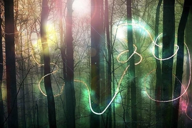 Fairy Woods Free Desktop Backgrounds And Wallpapers