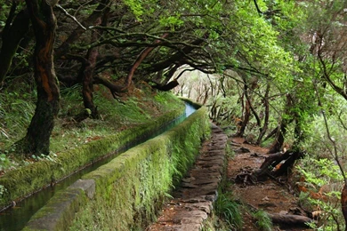 Aqueduct In The Woods Wallpapers