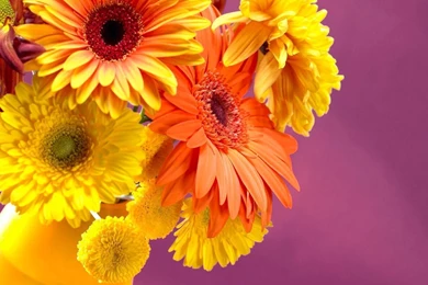 Full HD Flowers Wallpapers