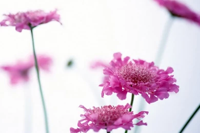 Cars Archives   Page 54 Of 67   HD Wallpapers Source