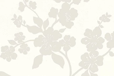 Floral iPhone 5s Wallpapers