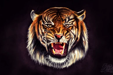 Dribbble Tiger Desktop Wallpaper.png By Ivan Afandi