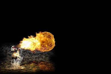 Hd Tiger Wallpapers GRS12